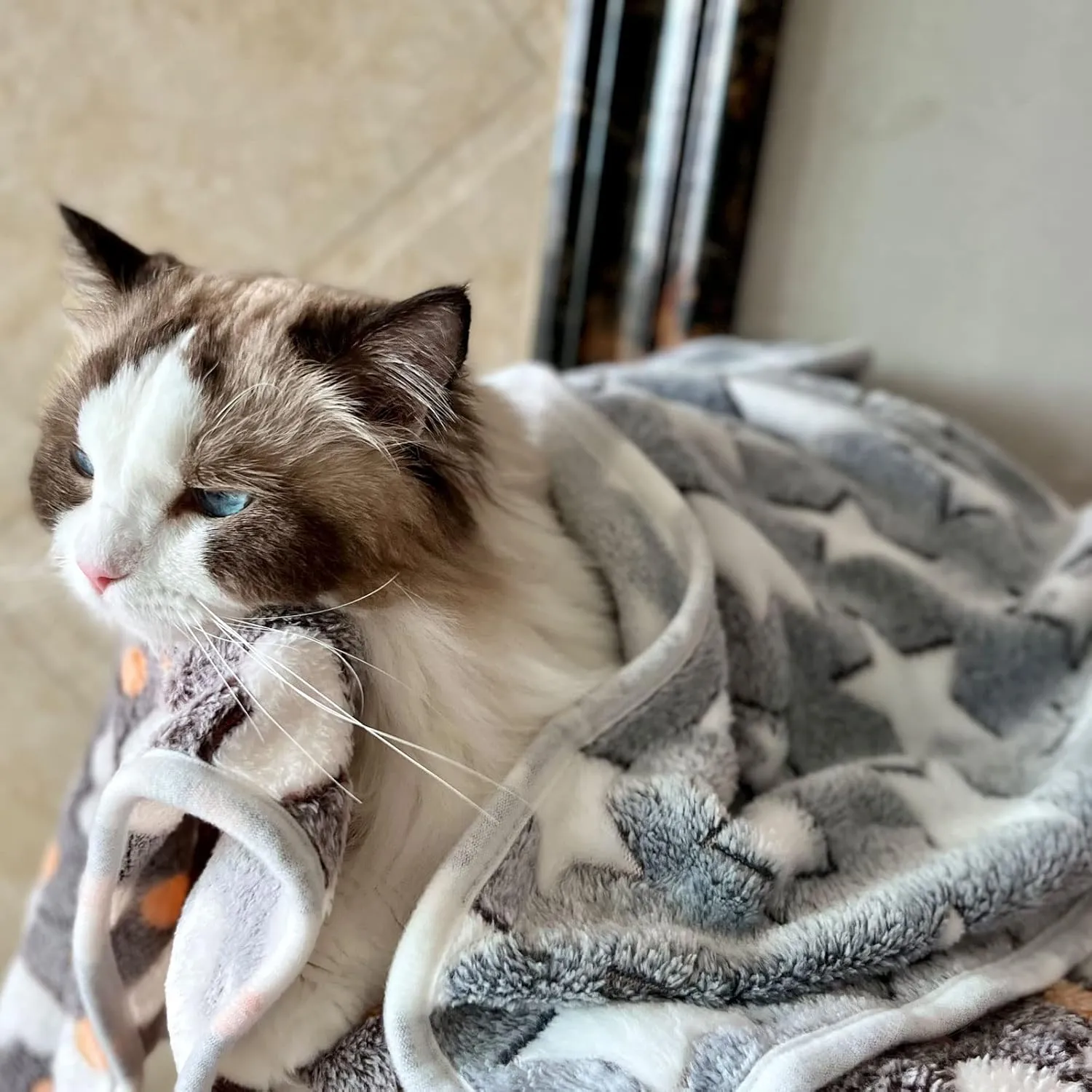 1 Pack 3 Puppy Blankets Cat Dog Blankets Super Soft Warm Sleep Mat Grey Star Cute Print Blanket Fluffy Fleece Pet Blanket Flannel Throw for Small Dogs Puppy Dogs Cats Small(23"x15")
