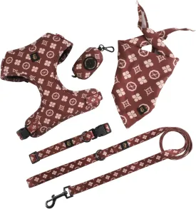 Adjustable Dog Harness, Leash, Poop Bag Holder/Dispenser and Bandana Set, No Pull, Soft Mesh Padded, for Small/Medium Dogs Outdoor Walking/Running (Medium, Chewy Pawtton)