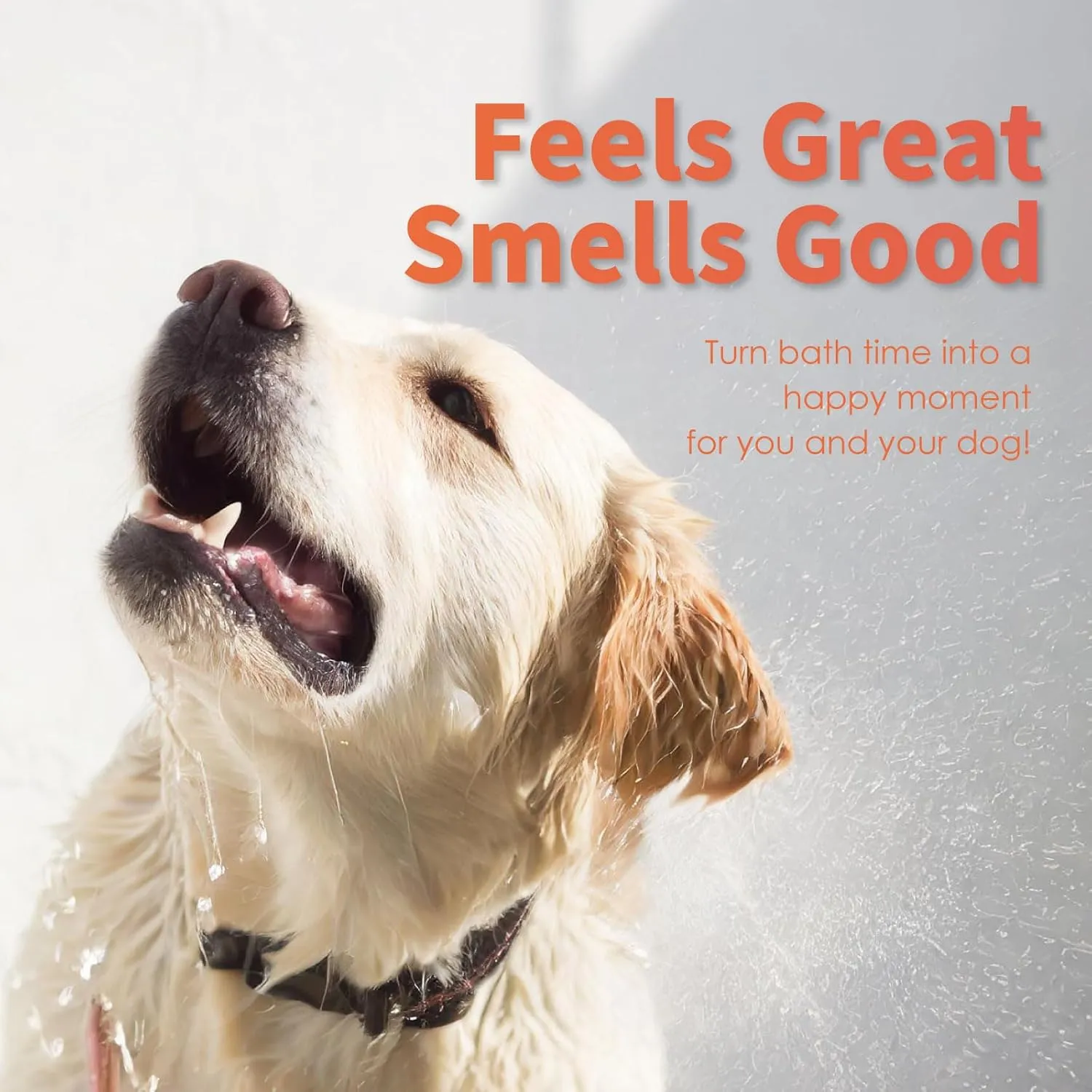 Arf Arf Dog Shampoo Whitening Formula, White-Coated Brightening Oatmeal 16oz, Honey-Infused, Pet-Friendly, Enhances Coat Shine, Suitable for All Breeds and Ages - 16oz
