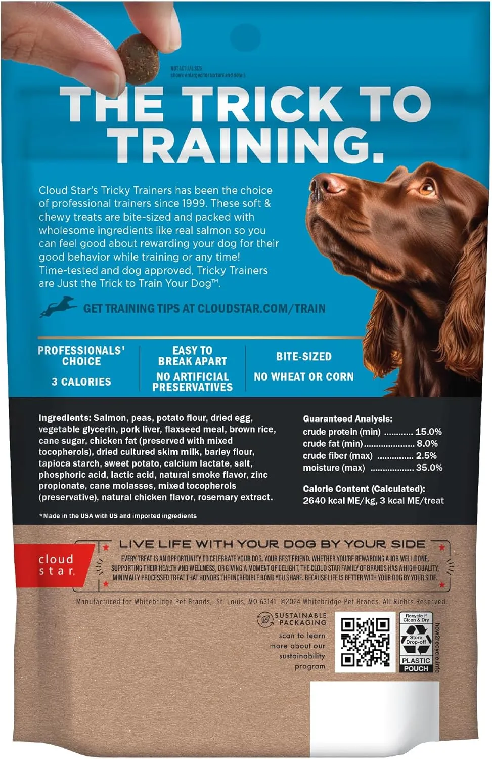 Cloud Star Tricky Trainers Soft & Chewy Dog Training Treats 5 oz. Pouch, Salmon Flavor, Low Calorie Behavior Aid with 130 treats