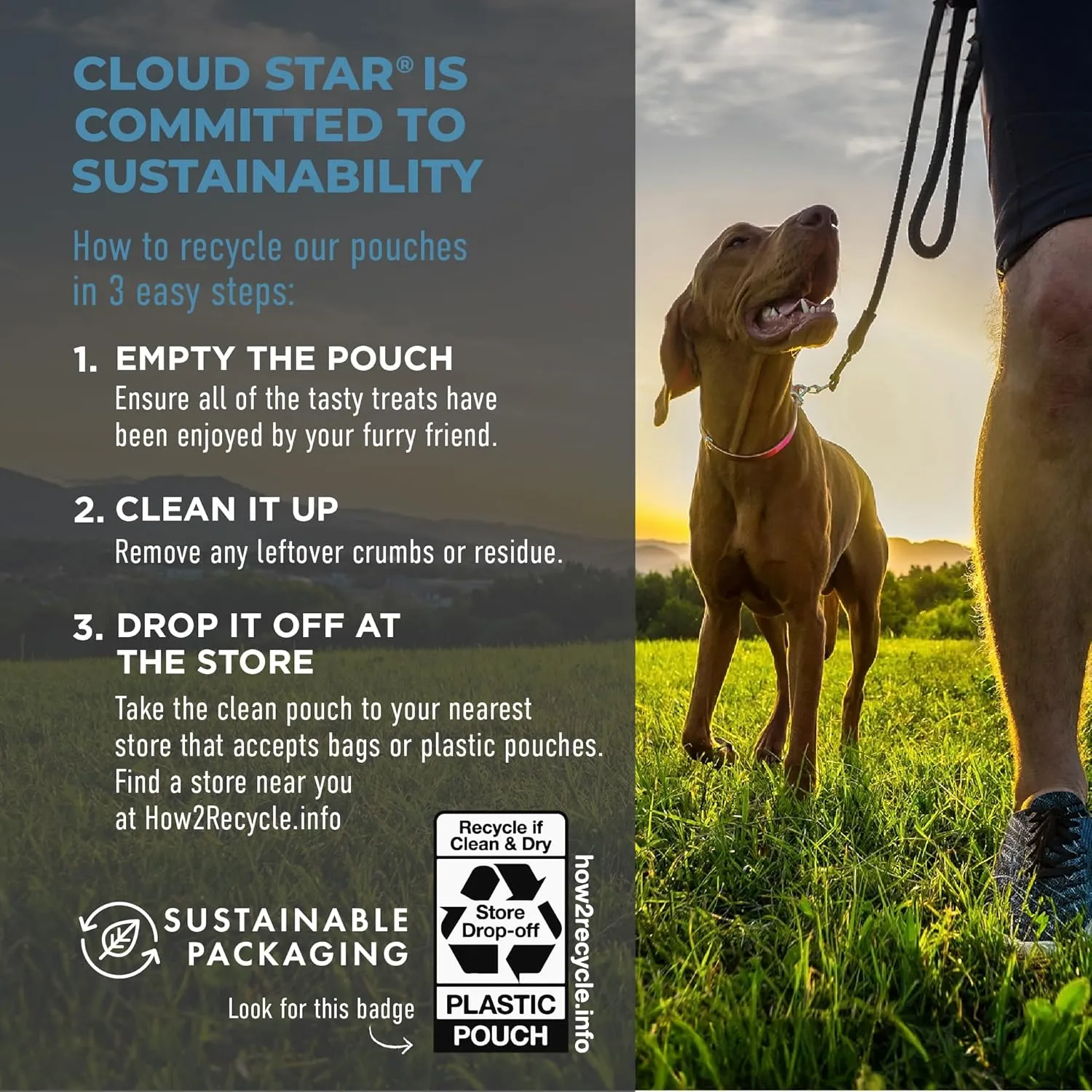 Cloud Star Tricky Trainers Soft & Chewy Dog Training Treats 5 oz. Pouch, Salmon Flavor, Low Calorie Behavior Aid with 130 treats