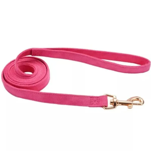 Coastal Accent Microfiber Dog Leash