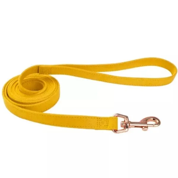 Coastal Accent Microfiber Dog Leash
