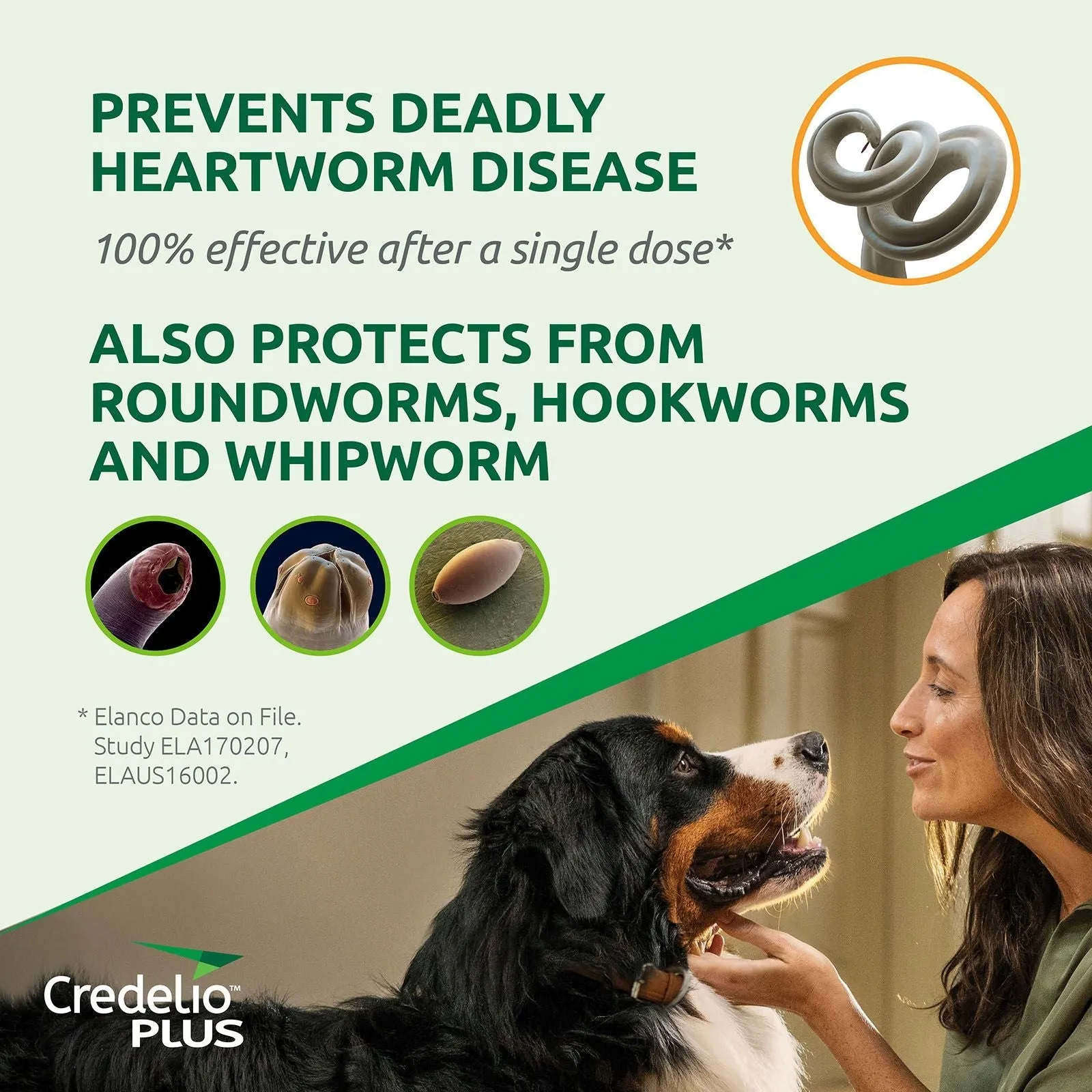 Credelio Plus for Medium Dogs