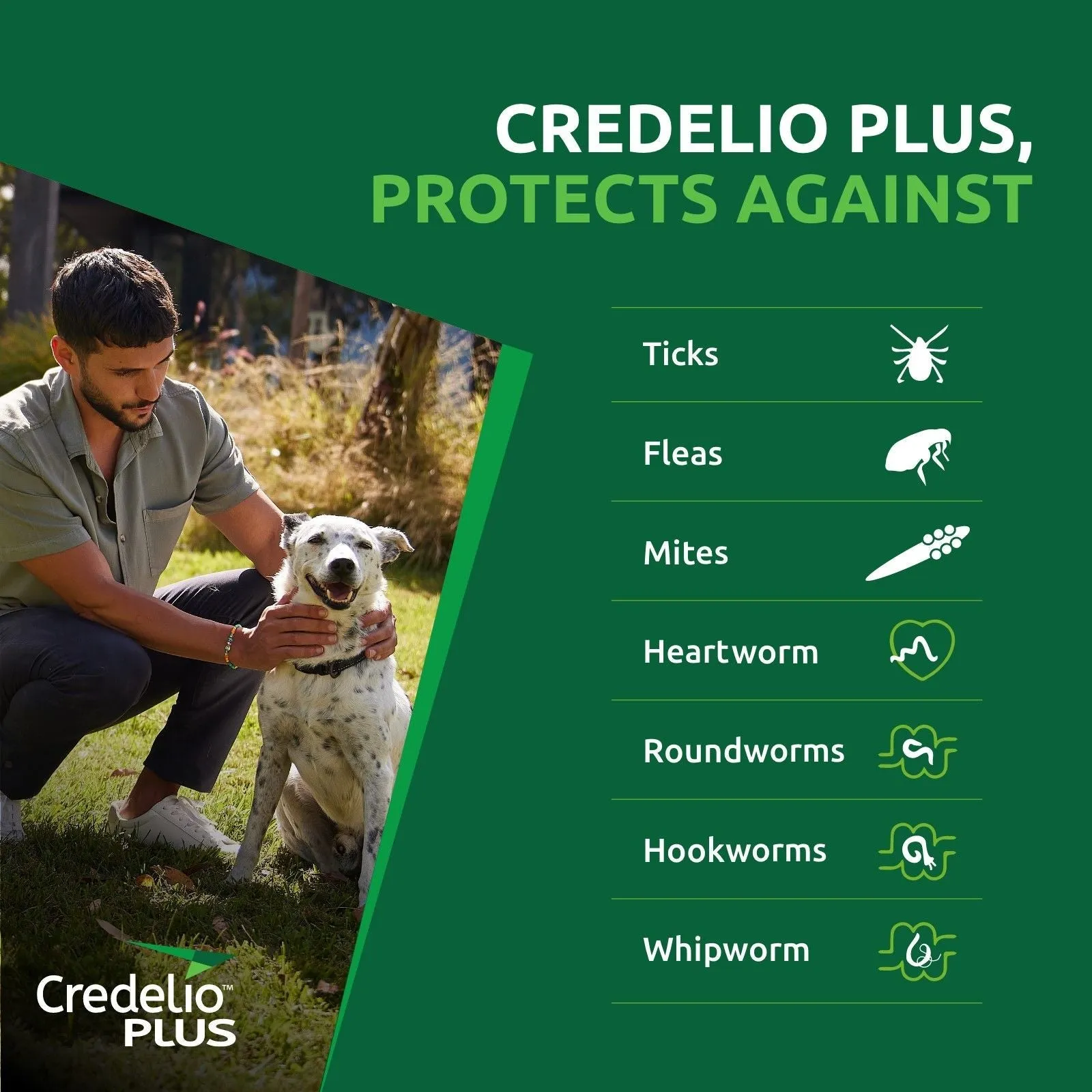 Credelio Plus for Medium Dogs