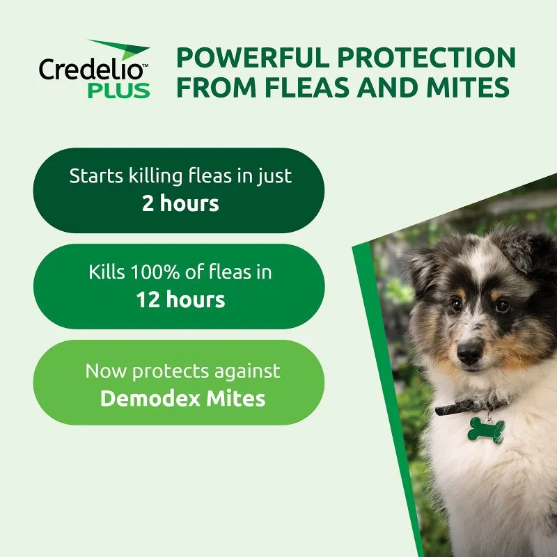 Credelio Plus for Medium Dogs