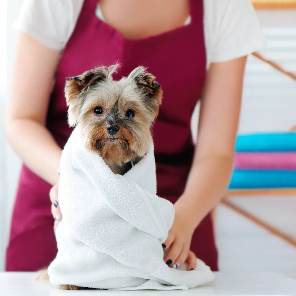Dog and Cat Pet Grooming Spa