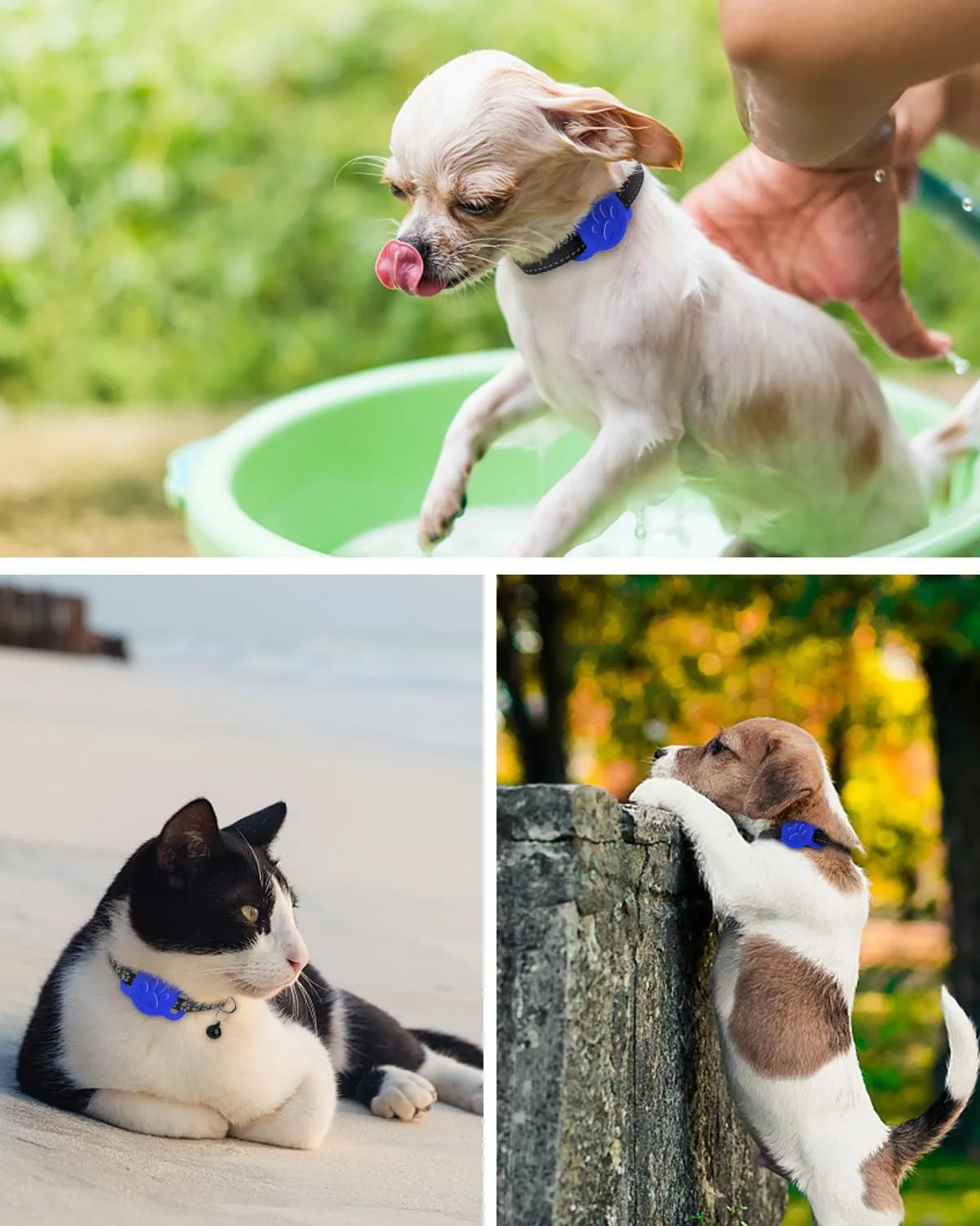 Dynmeow Airtag Cat Collar Holder, Stretchy Silicone Airtag Holder for Puppy Small Dog, Anti-Lost Protective Apple Air Tag Pet Holder Compatible with 3/8 and 5/8 inch Wide Collar, Navy-Blue, S(1 Pack)