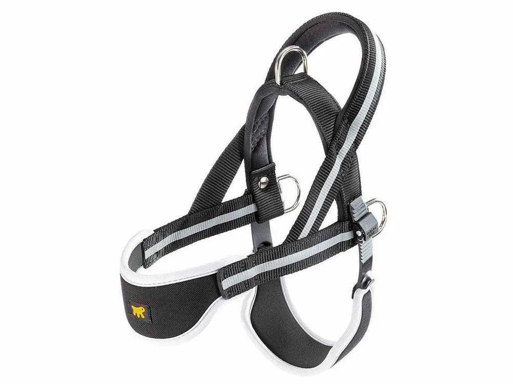 ERGOCOMFORT NORDIC 1 PETTORINA