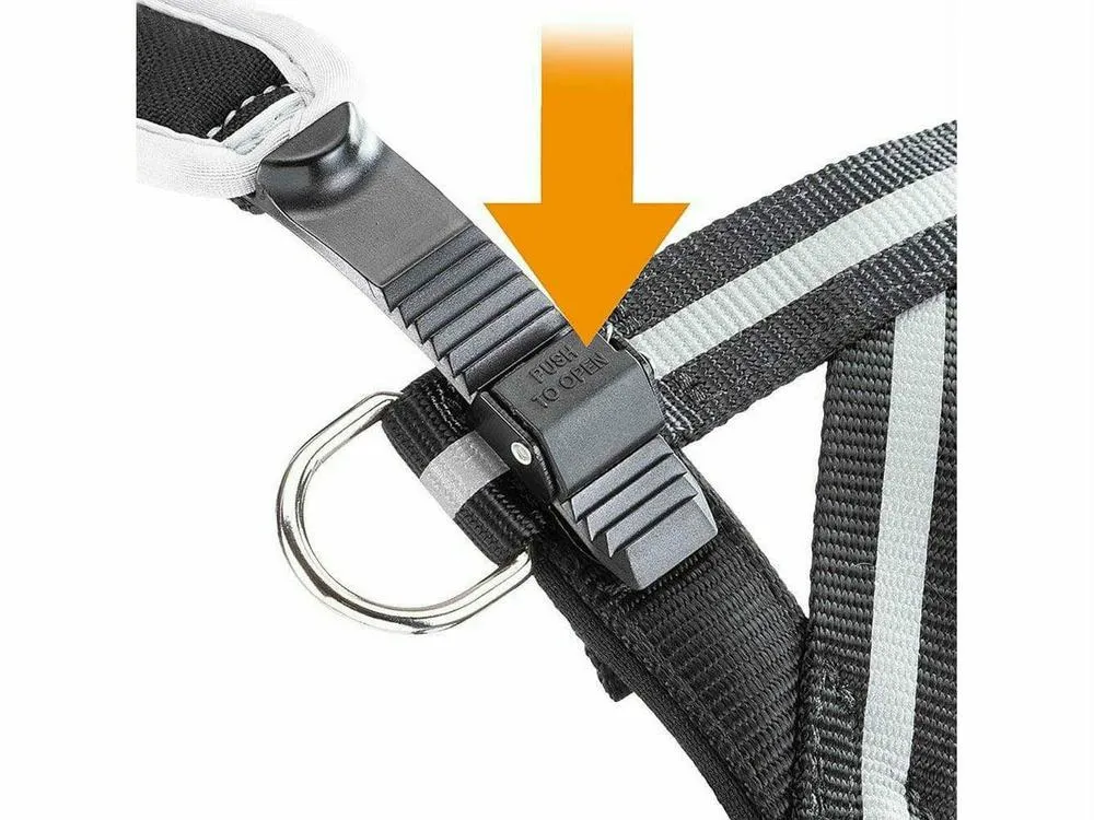 ERGOCOMFORT NORDIC 1 PETTORINA