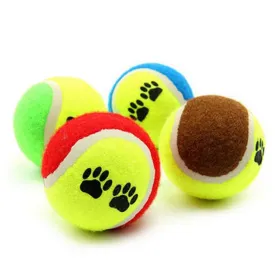 Fetch 'n Play Tennis Dog Balls (Assorted Colors)