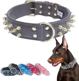 Genuine Leather Spiked Dog Collar