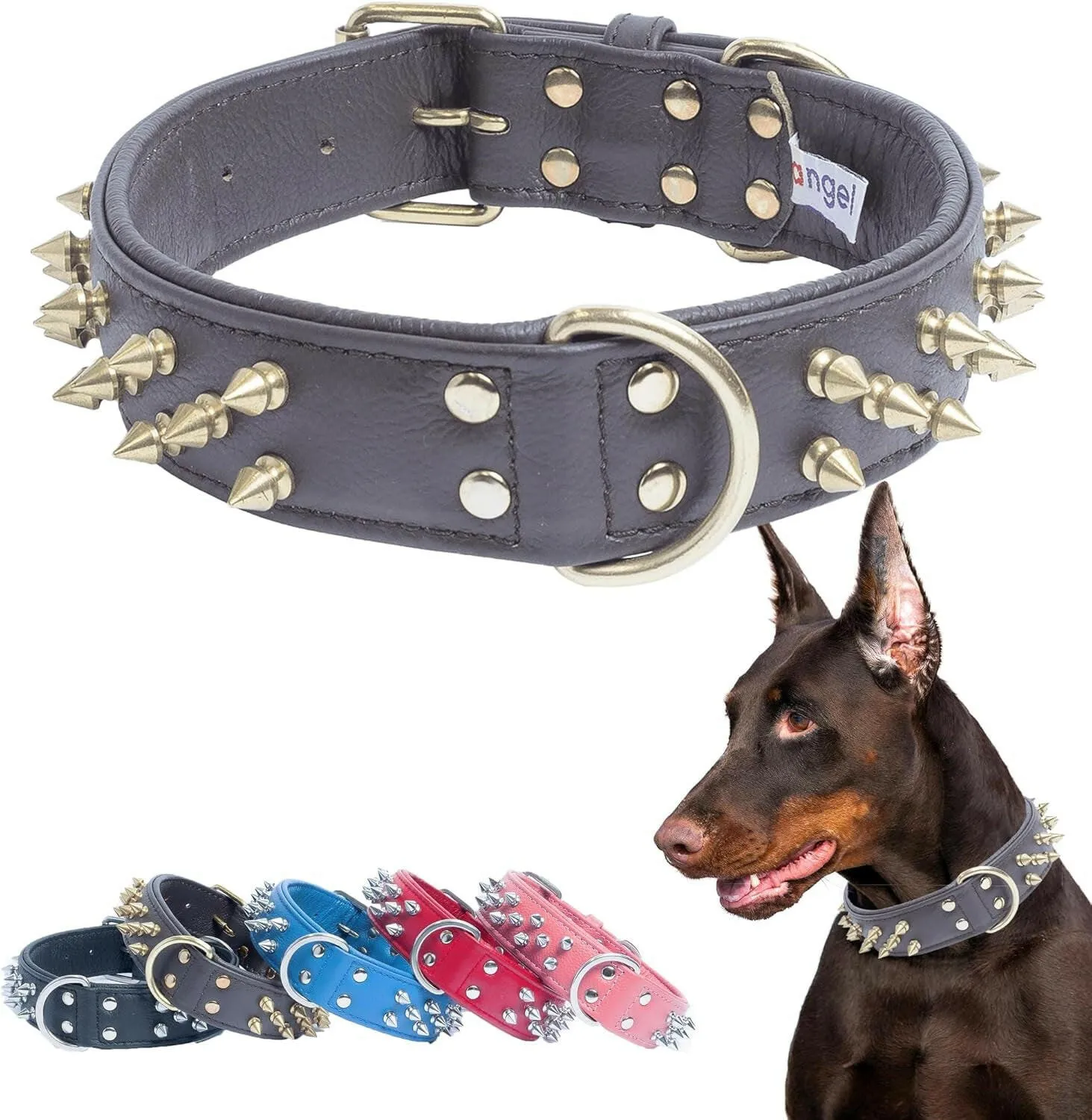 Genuine Leather Spiked Dog Collar