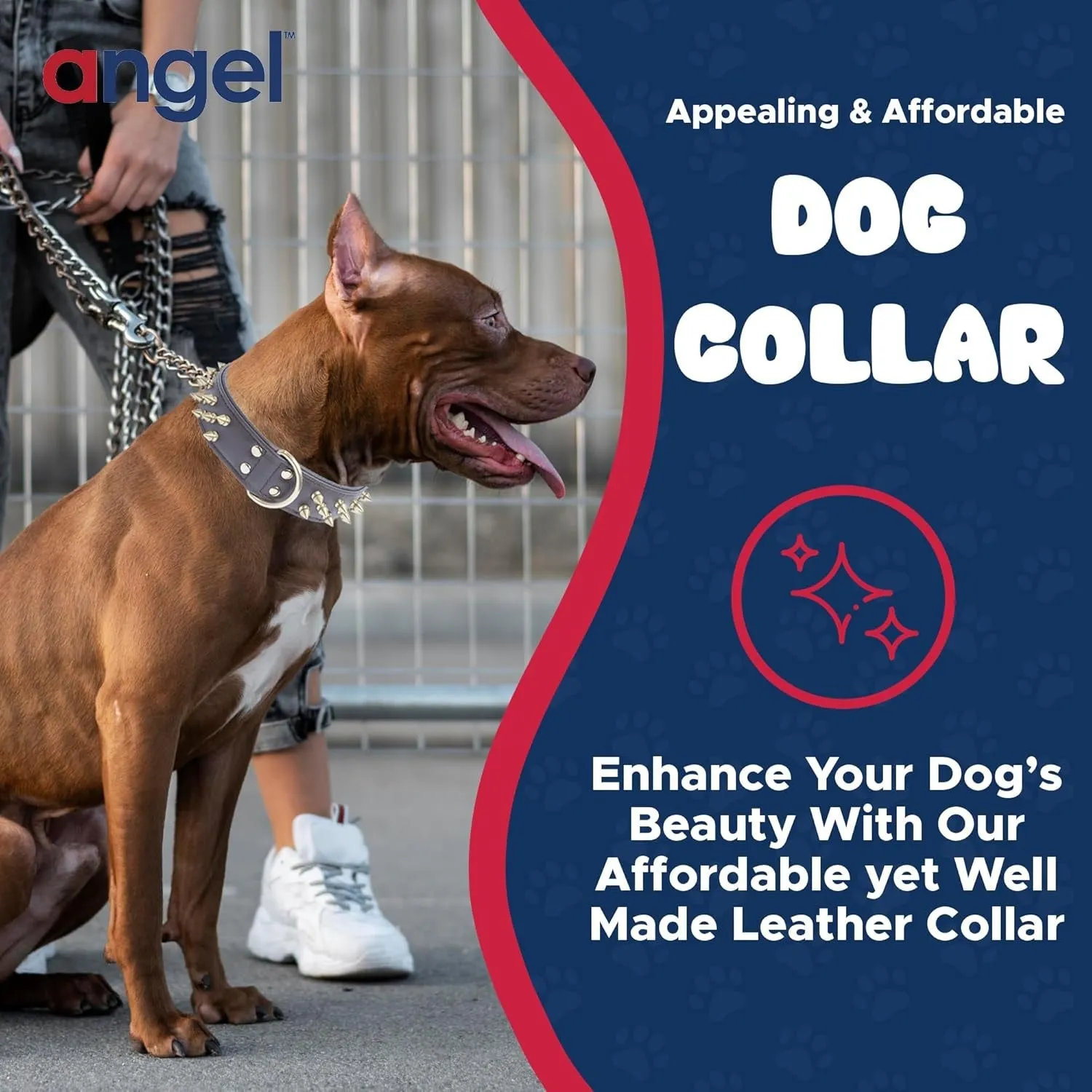 Genuine Leather Spiked Dog Collar