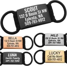 GoTags Silent Personalized Engraved Pet ID Tags for Dogs and Cats, Jingle Free Quiet Custom Stainless Steel Name Tags (Black, Medium)