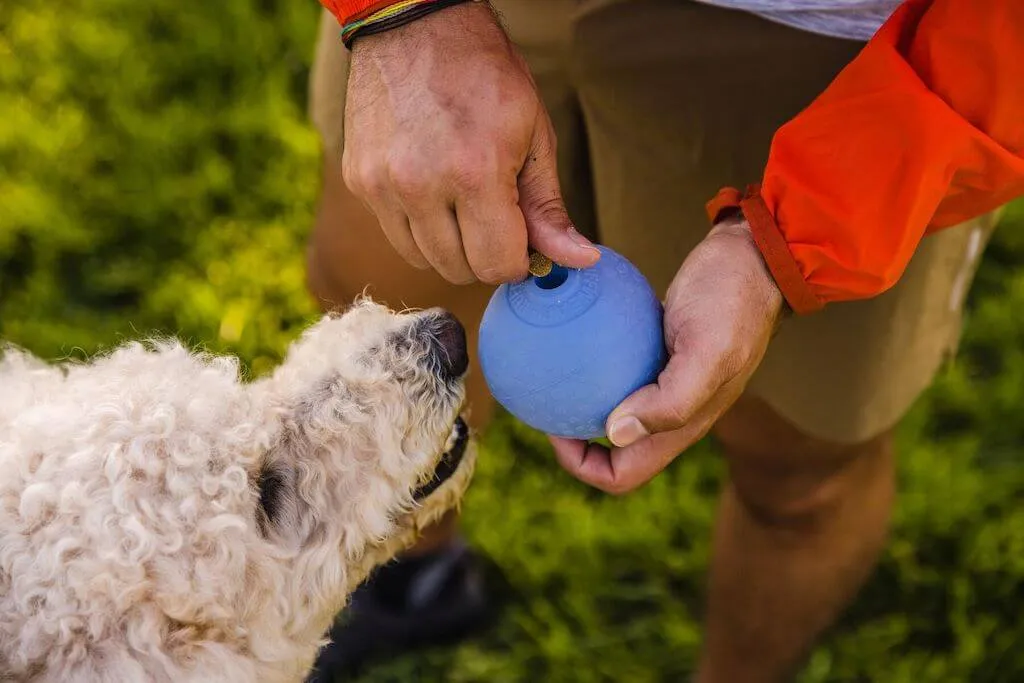 Huckama - Durable, 'Wacky' Bounce Dog Toy