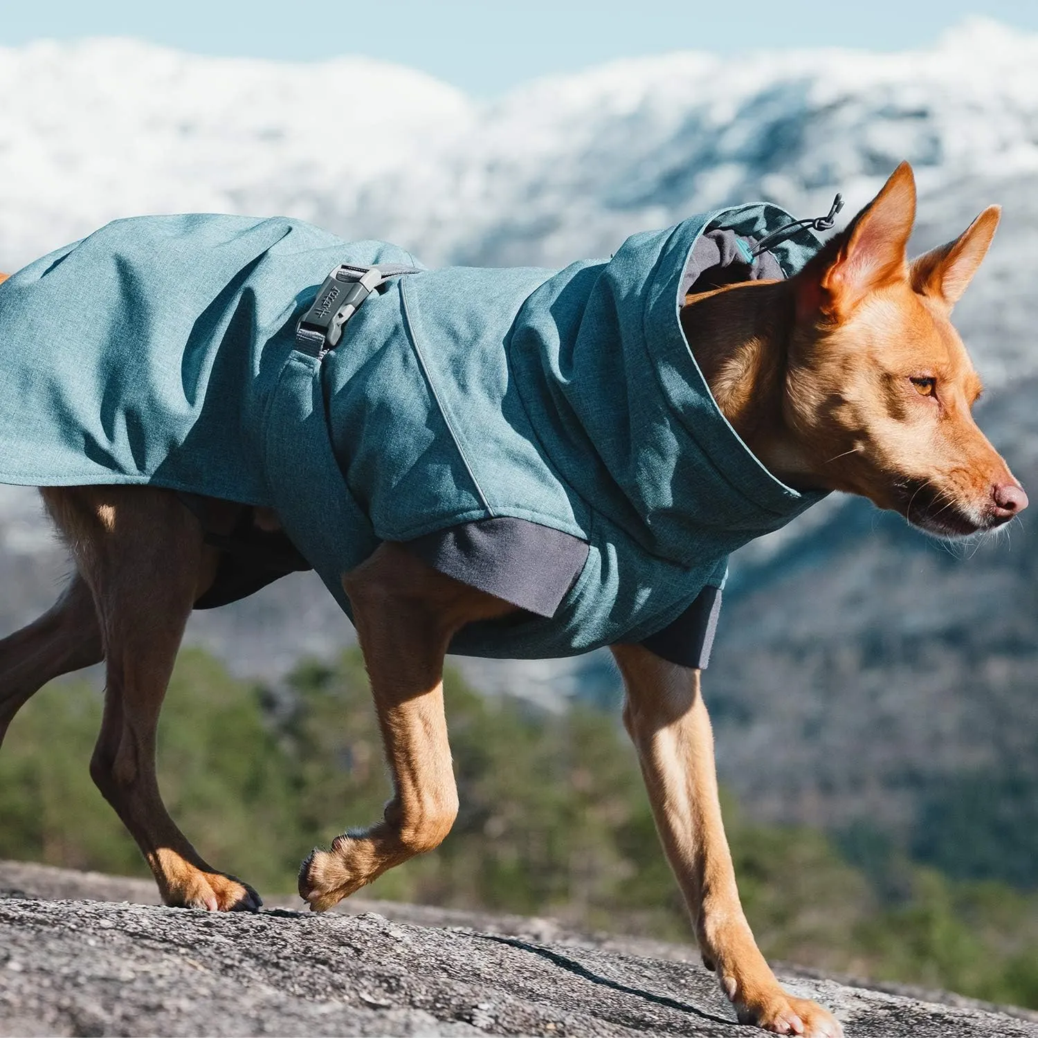 Hurtta Expedition Parka, Winter Dog Coat, Bilberry, 16 in
