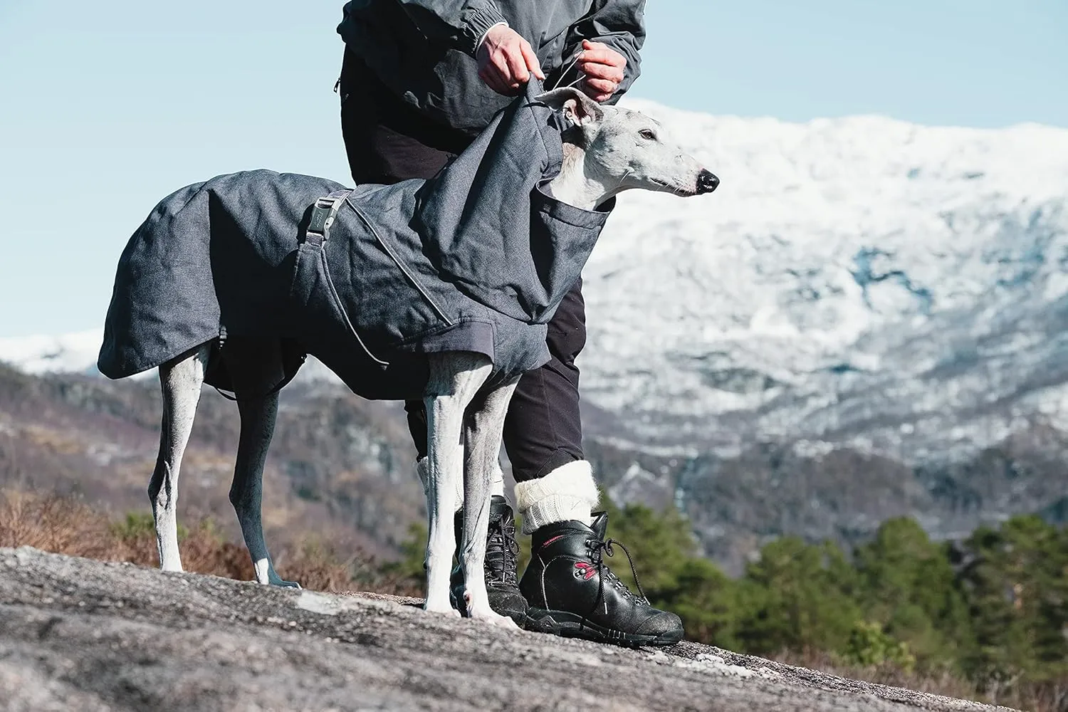 Hurtta Expedition Parka, Winter Dog Coat, BlackBerry, 12 in