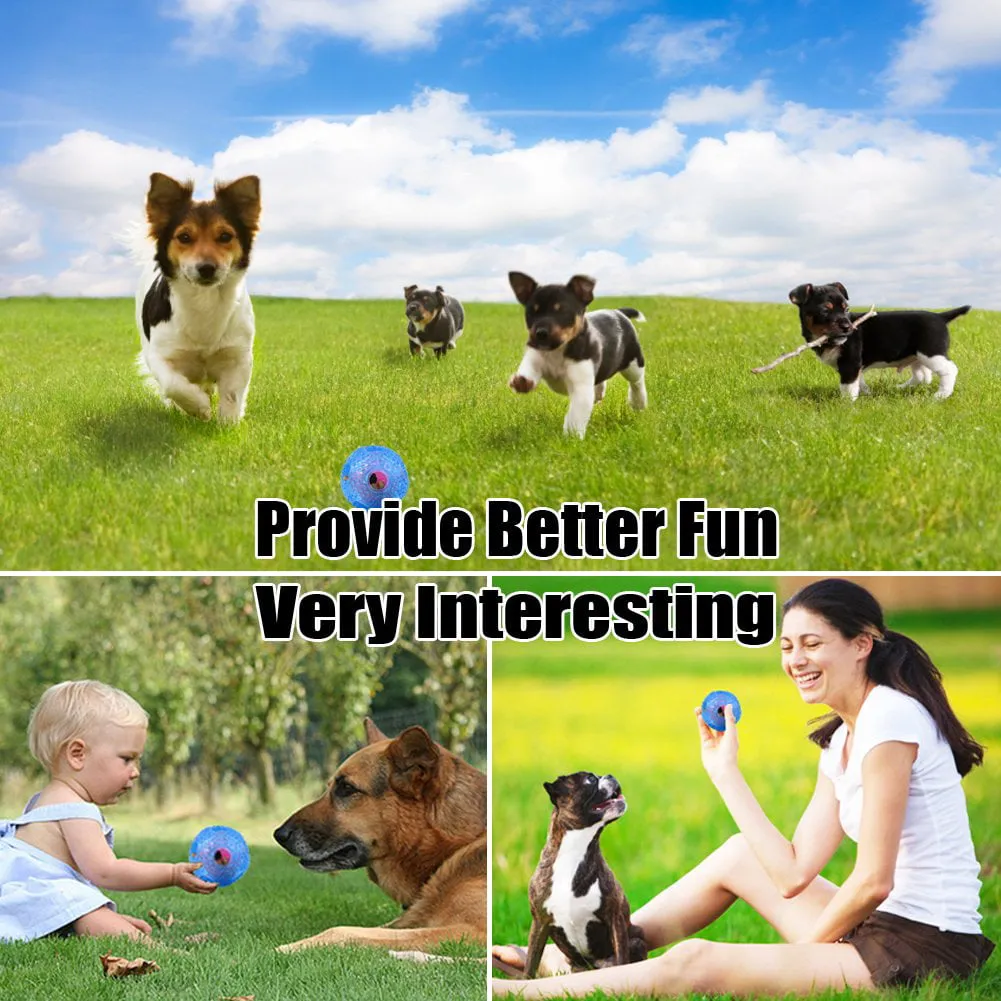 Interactive Dog Toy - IQ Treat Ball Food Dispensing Toys
