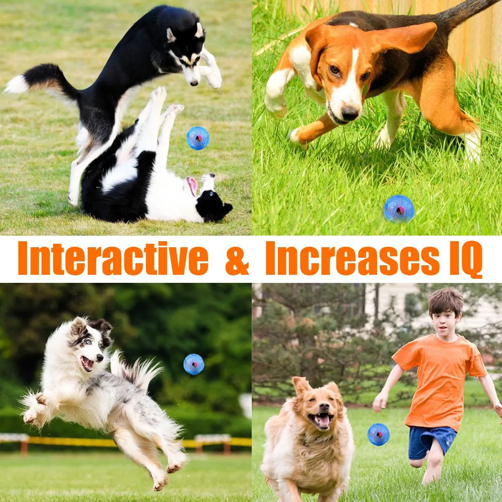 Interactive Dog Toy - IQ Treat Ball Food Dispensing Toys