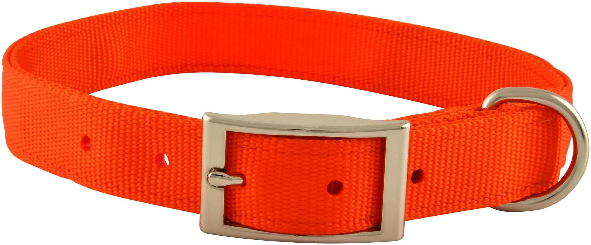 Jeffers Solid Web Nylon Dog Collar, 1" x 22"L