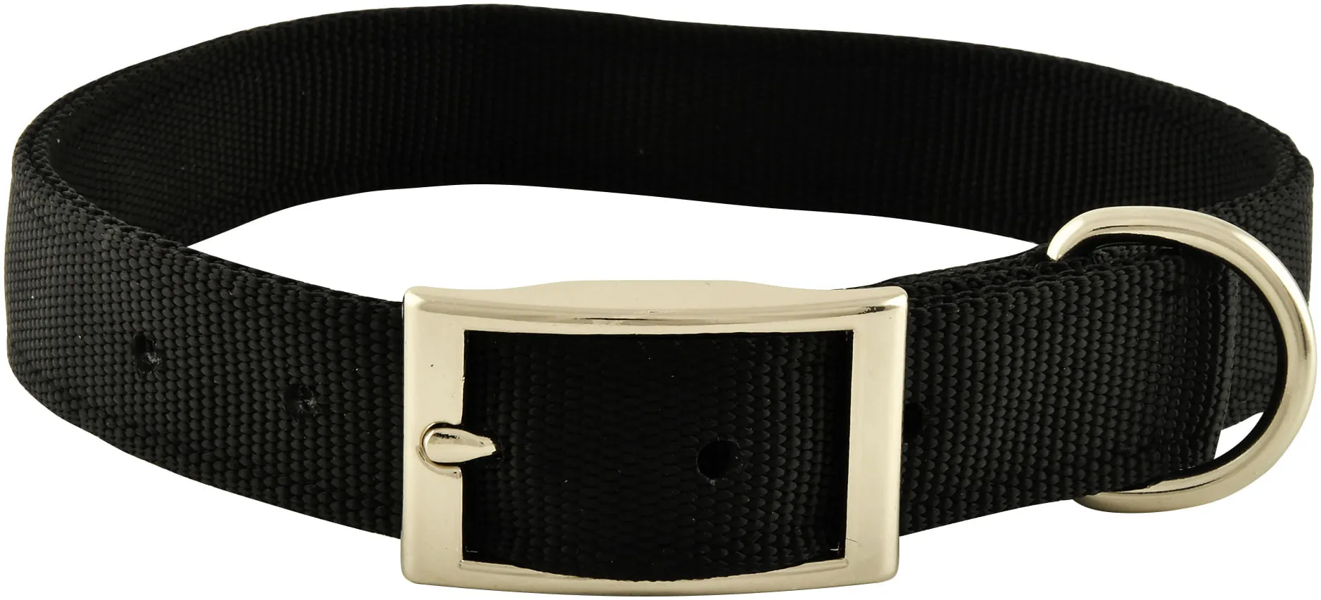 Jeffers Solid Web Nylon Dog Collar, 1" x 22"L