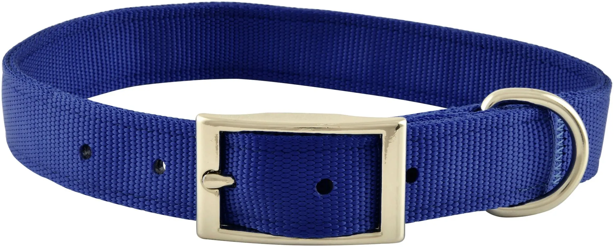 Jeffers Solid Web Nylon Dog Collar, 1" x 22"L