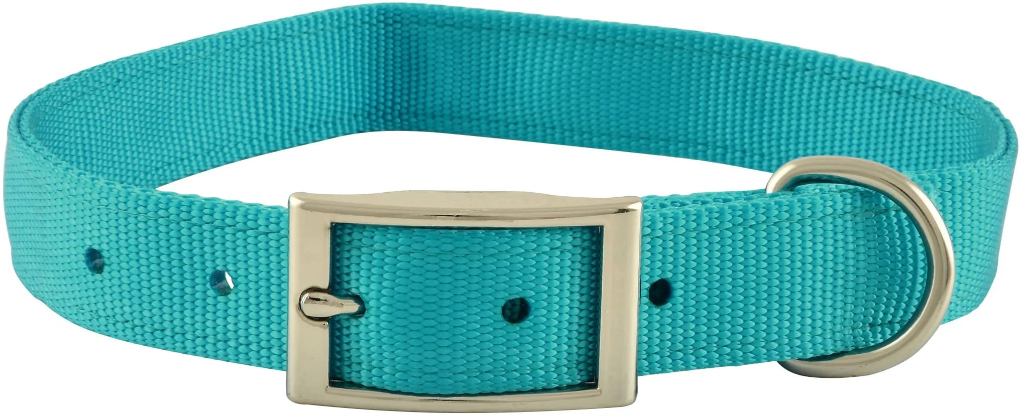Jeffers Solid Web Nylon Dog Collar, 1" x 22"L