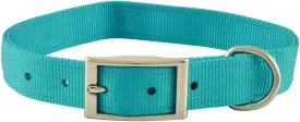 Jeffers Solid Web Nylon Dog Collar, 1" x 22"L