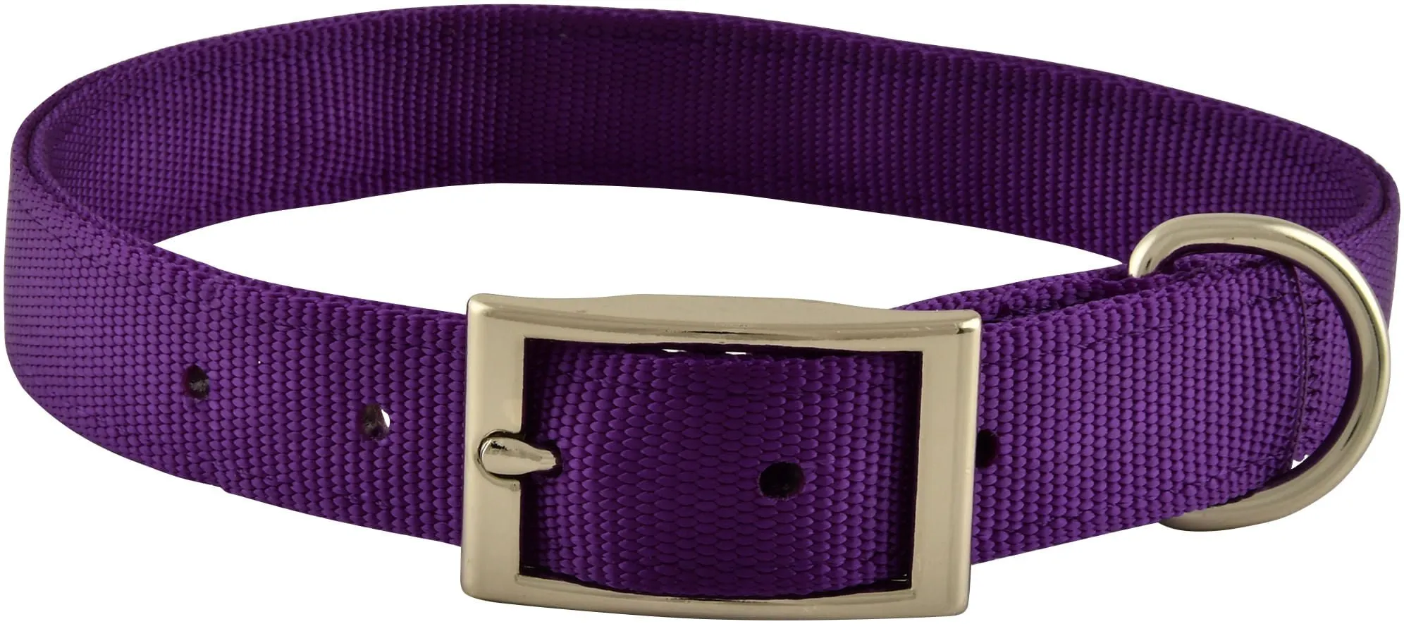 Jeffers Solid Web Nylon Dog Collar, 1" x 22"L