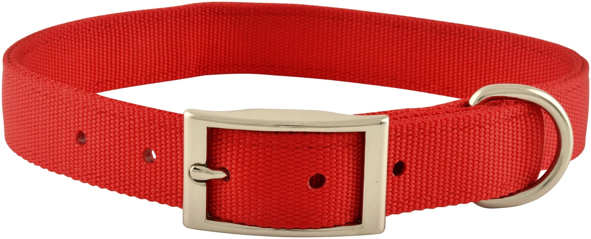 Jeffers Solid Web Nylon Dog Collar, 1" x 22"L