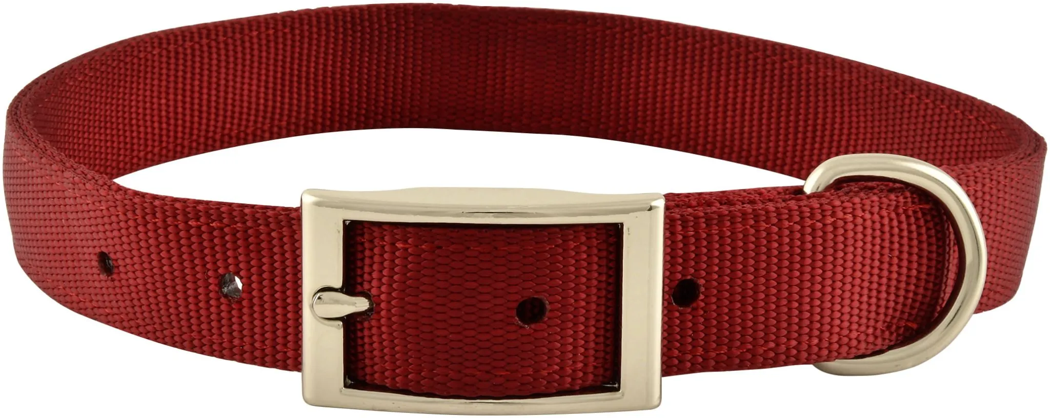 Jeffers Solid Web Nylon Dog Collar, 1" x 22"L