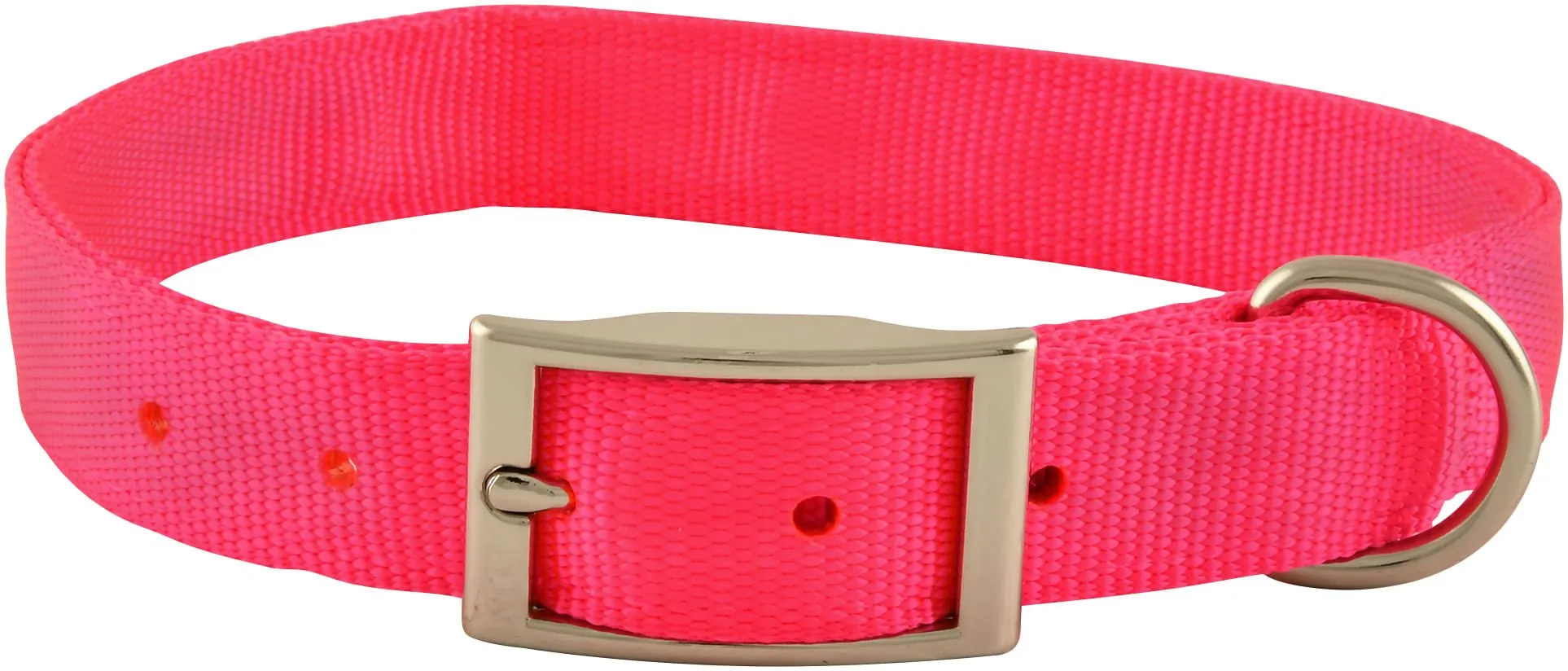 Jeffers Solid Web Nylon Dog Collar, 1" x 22"L
