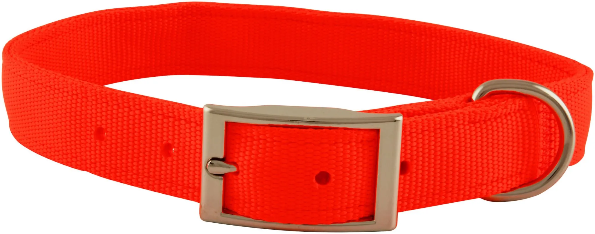 Jeffers Solid Web Nylon Dog Collar, 1" x 22"L