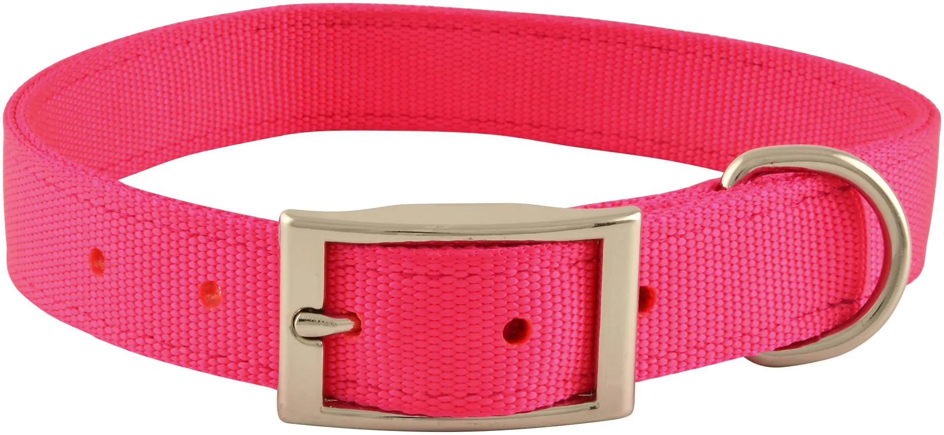 Jeffers Solid Web Nylon Dog Collar, 1" x 22"L