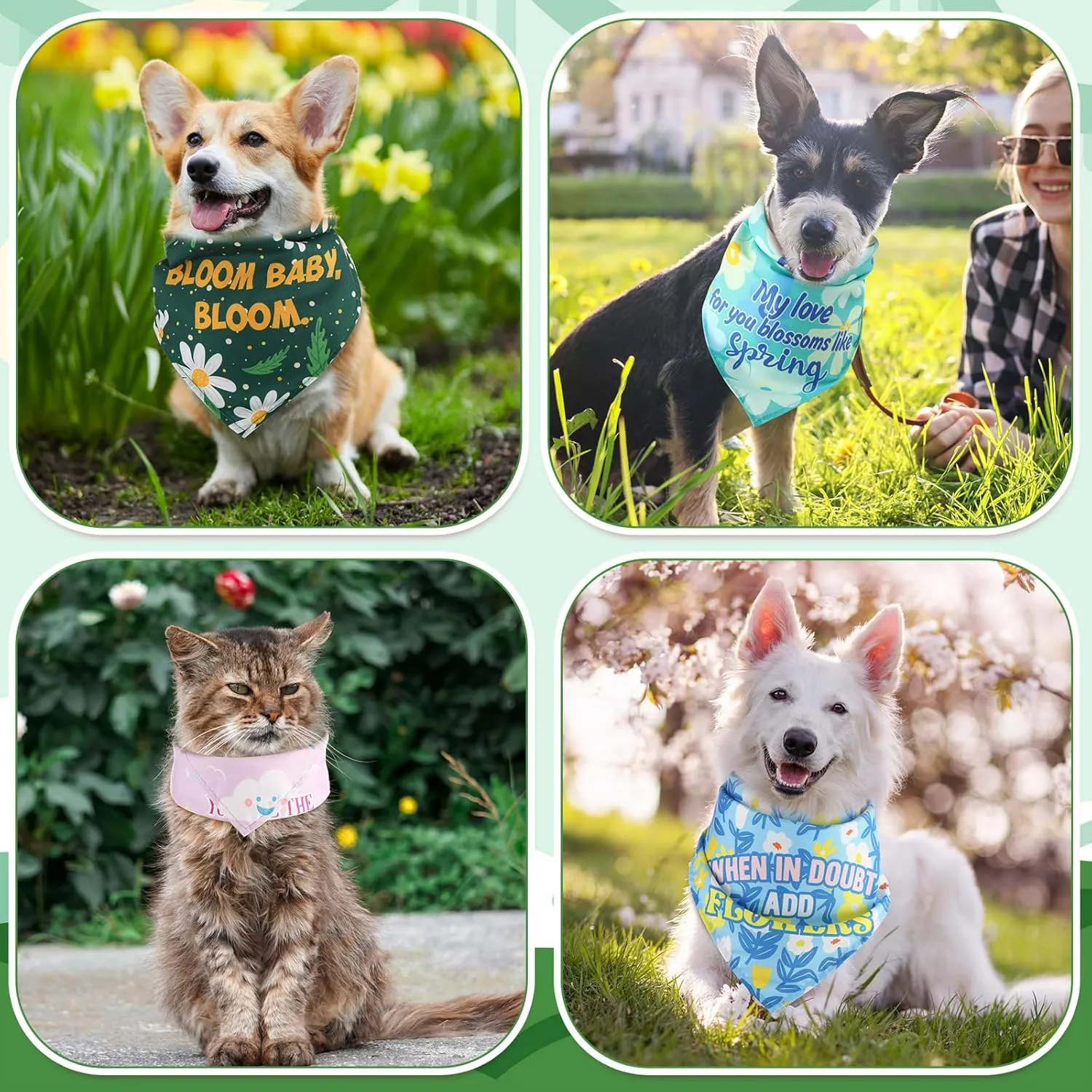 Kacctyen 200 Pcs Dog Bandana Bulk for Groomers with Sayings Spring Floral Printed Pet Triangle Scarf Bibs Washable Puppy Kerchief Adjustable Grooming Supplies for Small Medium Large Dog Cat (Spring)