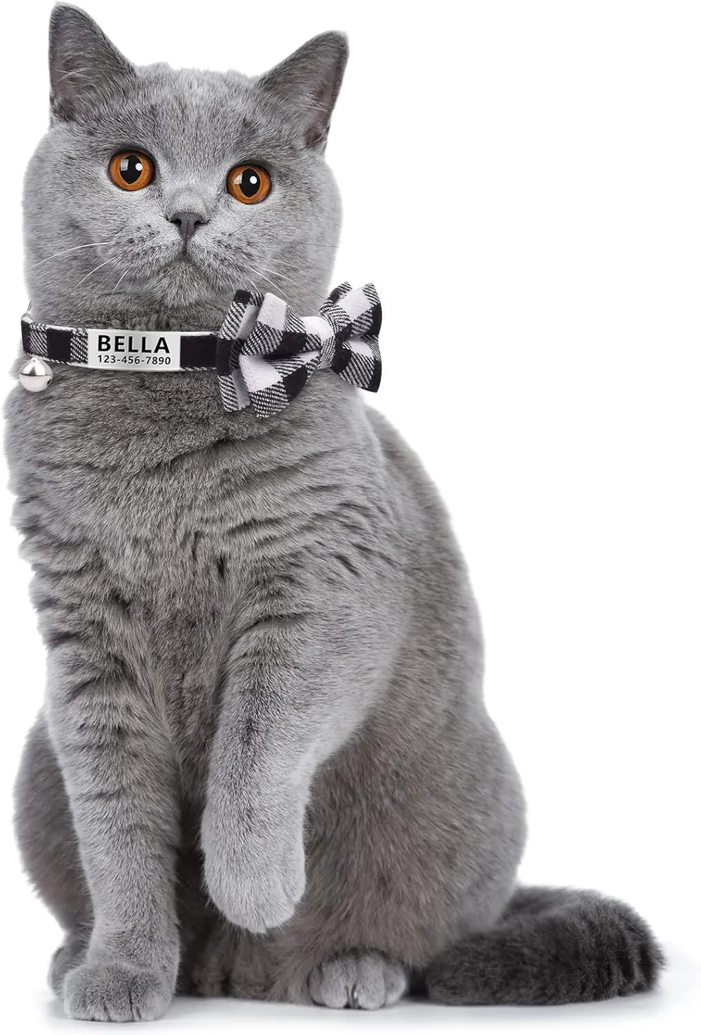 LaReine Personalized Breakaway Cat Collar with Bell & Bow Tie, Stainless Steel Slide-on Pet ID Tag Engraved with Name & Phone Numbers, (Customized - 7"-11" Neck, Black)