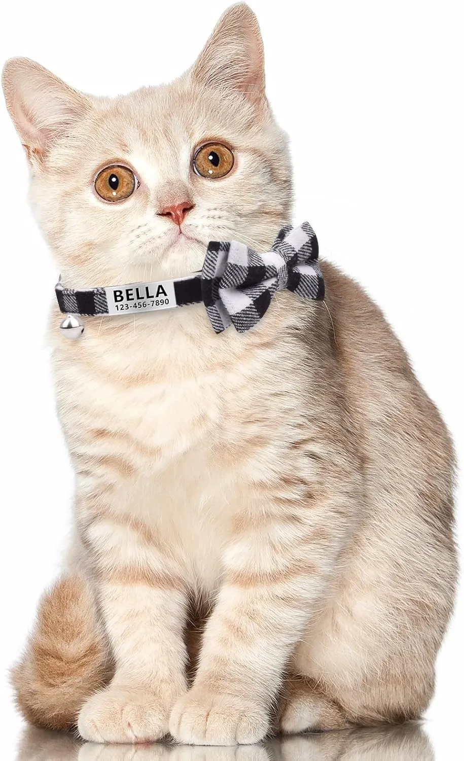 LaReine Personalized Breakaway Cat Collar with Bell & Bow Tie, Stainless Steel Slide-on Pet ID Tag Engraved with Name & Phone Numbers, (Customized - 7"-11" Neck, Black)