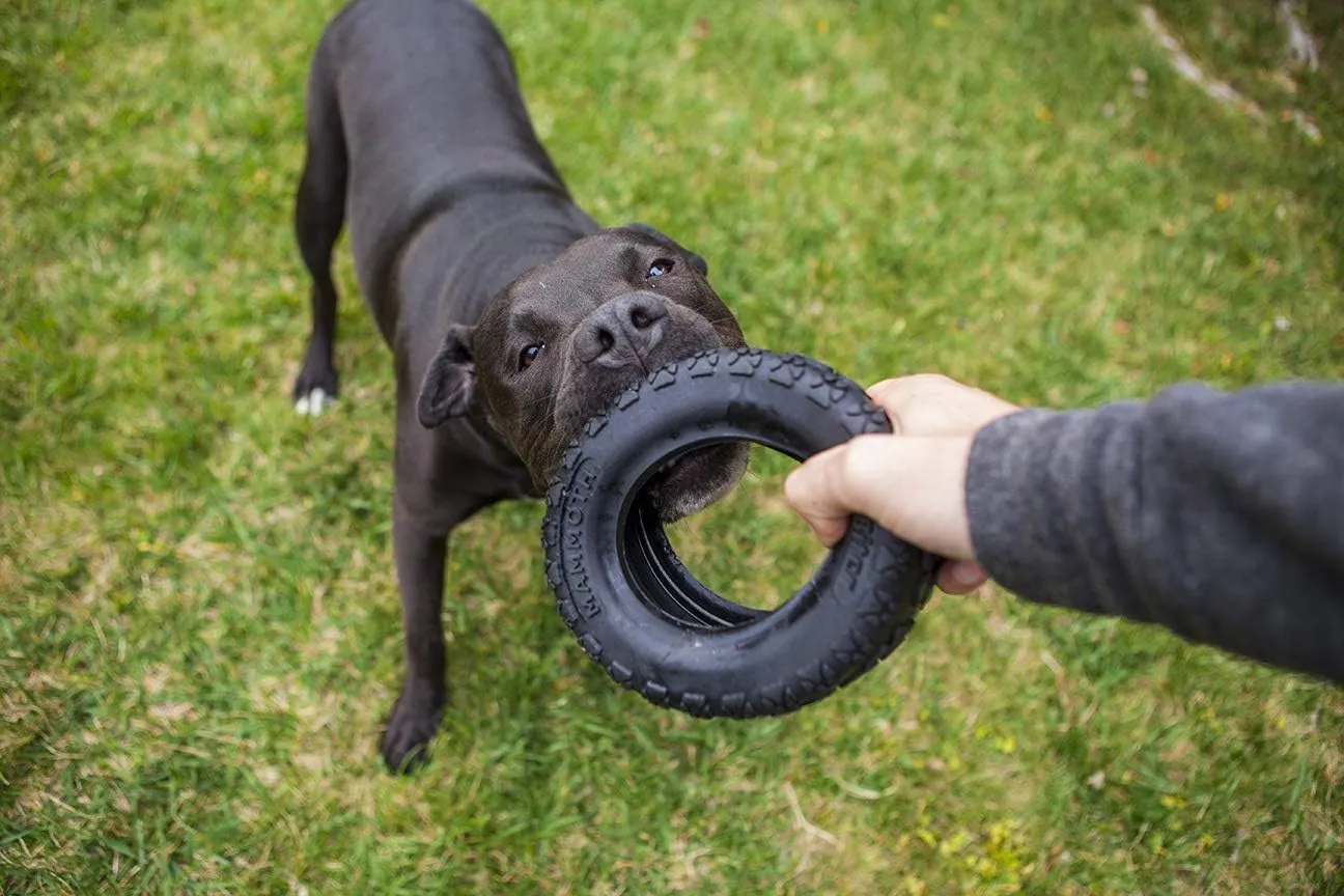 Mammoth TireBiterII  Natural Rubber Dog Toys for Extreme Chewers  Dog Toys for Extra Long Interactive Play  Aggressive Chewer Toys for Medium - Large Dogs - Large 6