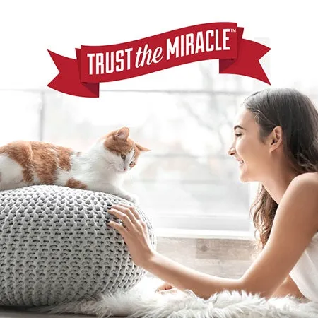 Nature's Miracle Platinum Virus Disinfectant Stain & Odor Remover for Cats 32 oz