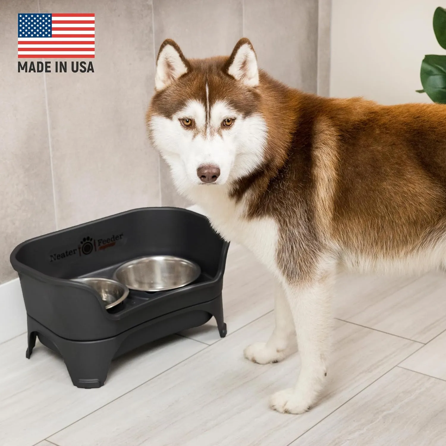 Neater Feeder Express Mess Proof Dog Bowls Elevated for Large and Medium Sized Dog, No Spill Raised Dog Food Bowl Stand, Stainless Steel Dog Food and Water Bowl Set, Elevated Dog Bowl, USA Made, Black