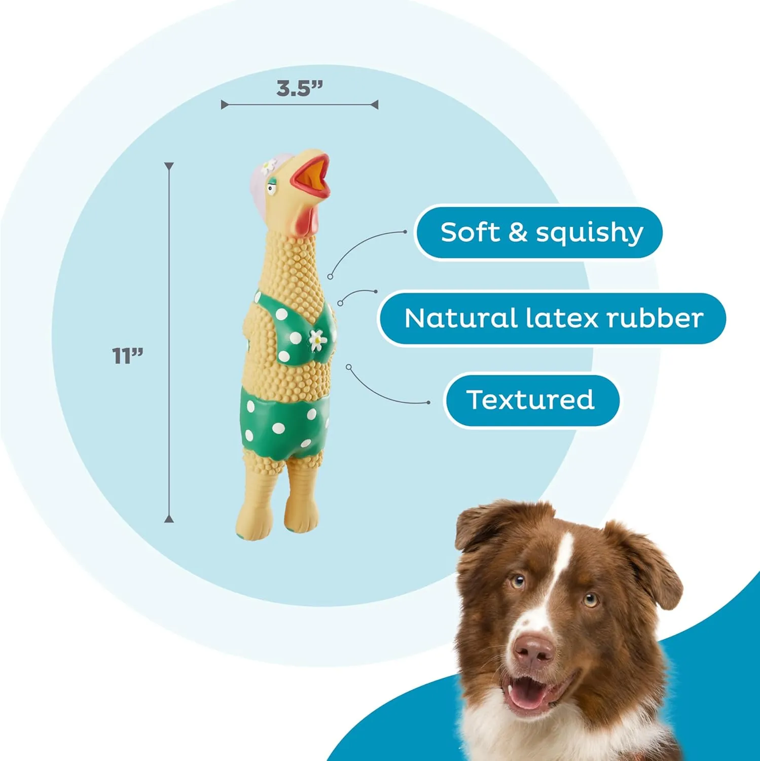 Outward Hound by Charming Pet Squawkers Grandma Hippie Chick Latex Squeaky Rubber Chicken Dog Toy, Funny Interactive Holiday Toy for Dogs, Large Size