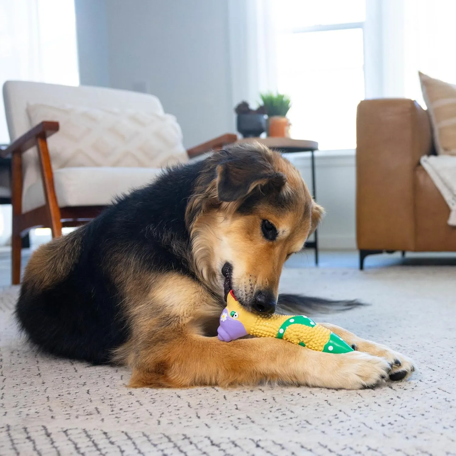 Outward Hound by Charming Pet Squawkers Grandma Hippie Chick Latex Squeaky Rubber Chicken Dog Toy, Funny Interactive Holiday Toy for Dogs, Large Size