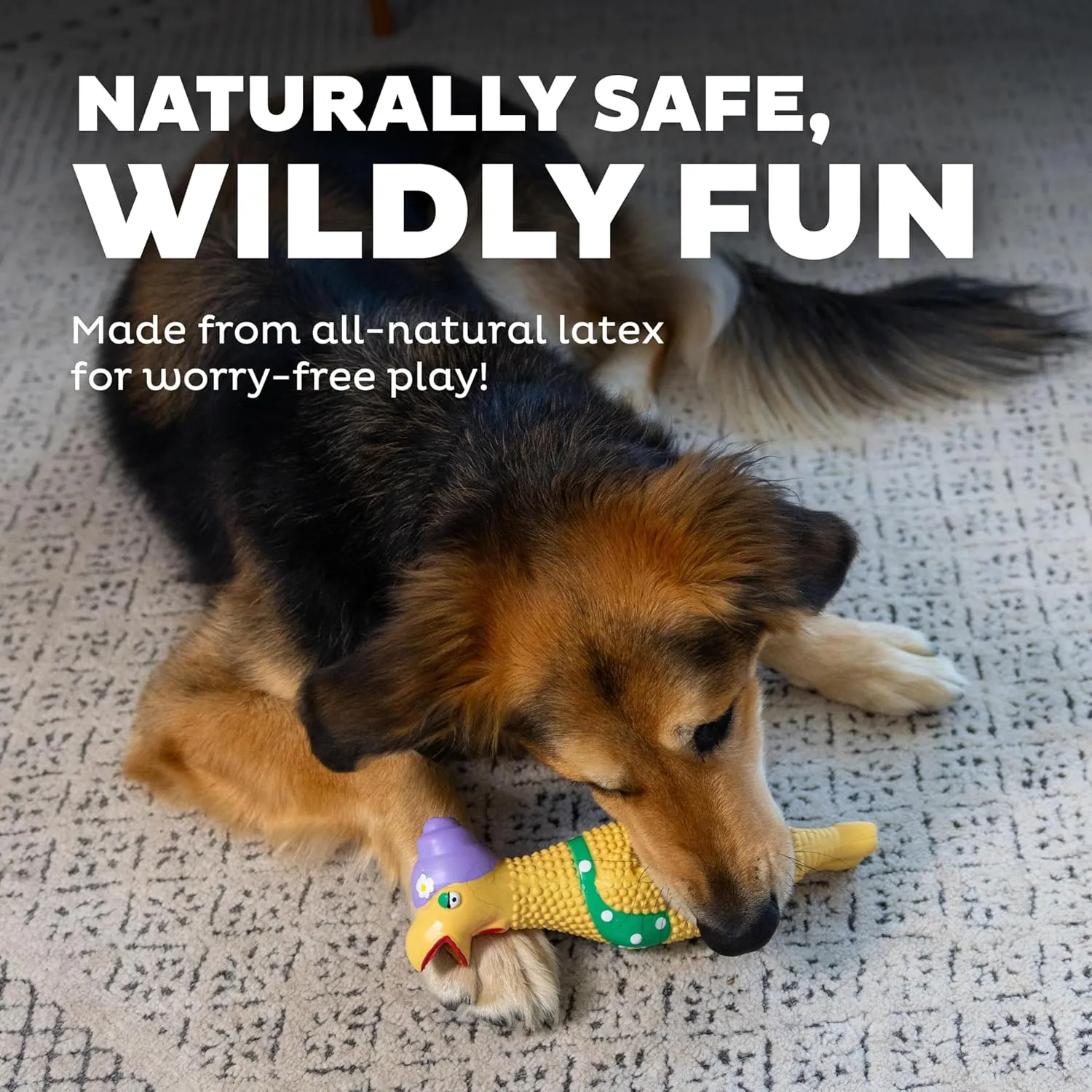 Outward Hound by Charming Pet Squawkers Grandma Hippie Chick Latex Squeaky Rubber Chicken Dog Toy, Funny Interactive Holiday Toy for Dogs, Large Size