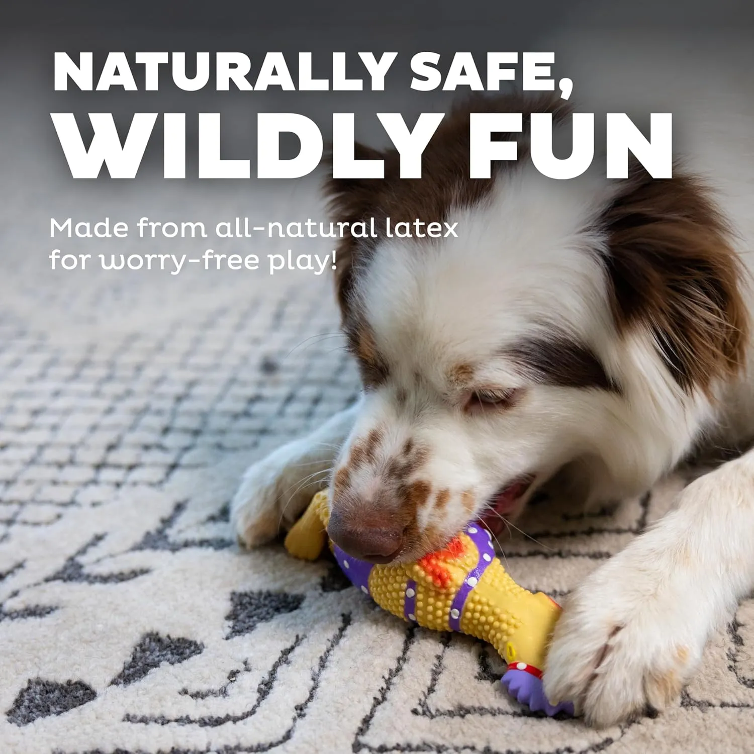 Outward Hound by Charming Pet Squawkers Henrietta Latex Squeaky Rubber Chicken Dog Toy, Funny Interactive Holiday Toy for Dogs, Small Size