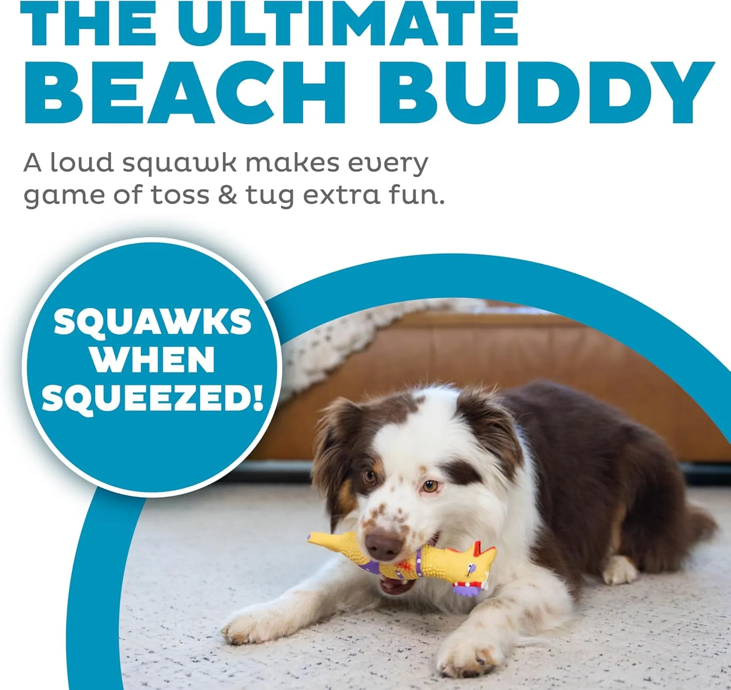 Outward Hound by Charming Pet Squawkers Henrietta Latex Squeaky Rubber Chicken Dog Toy, Funny Interactive Holiday Toy for Dogs, Small Size