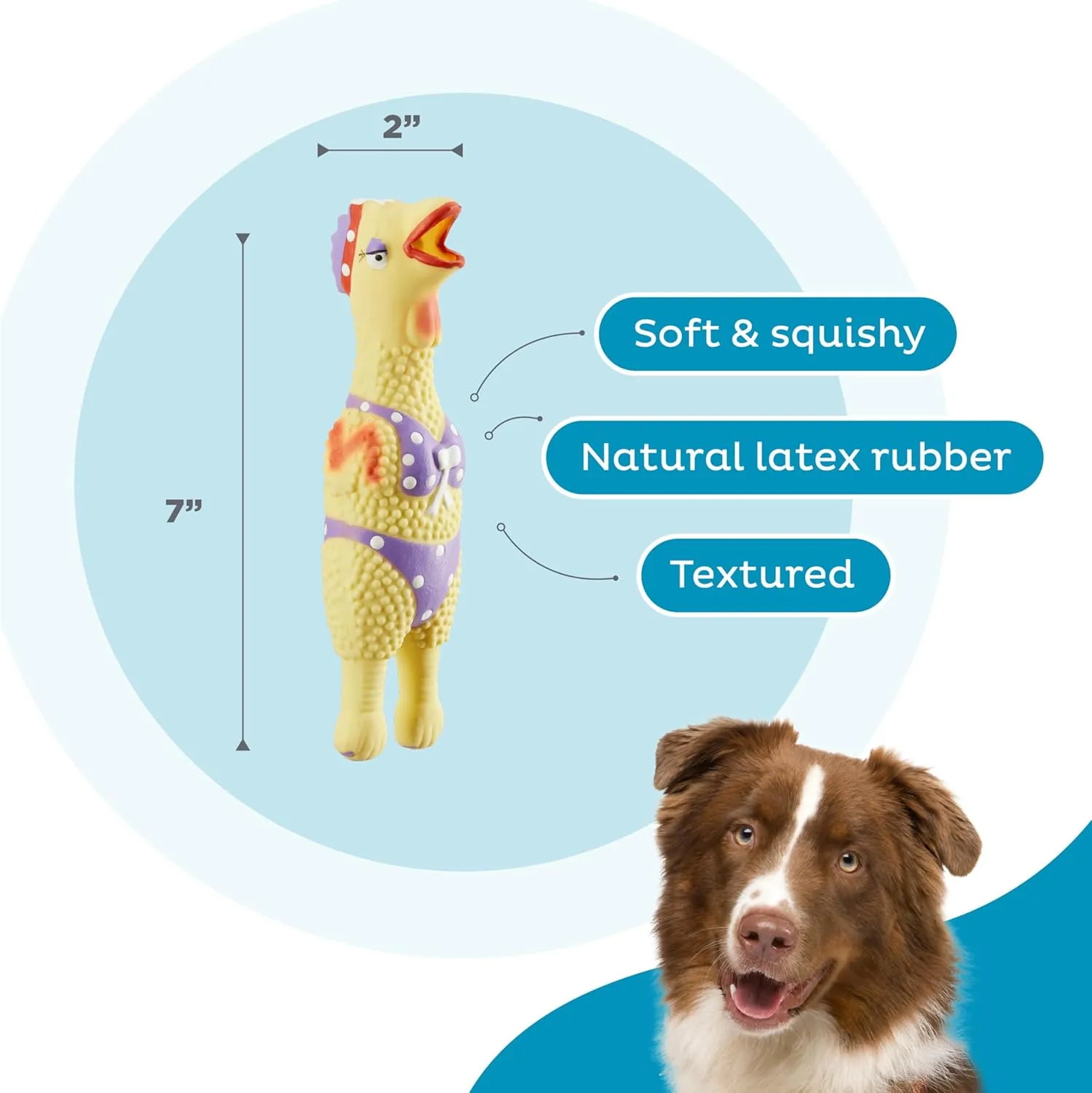 Outward Hound by Charming Pet Squawkers Henrietta Latex Squeaky Rubber Chicken Dog Toy, Funny Interactive Holiday Toy for Dogs, Small Size