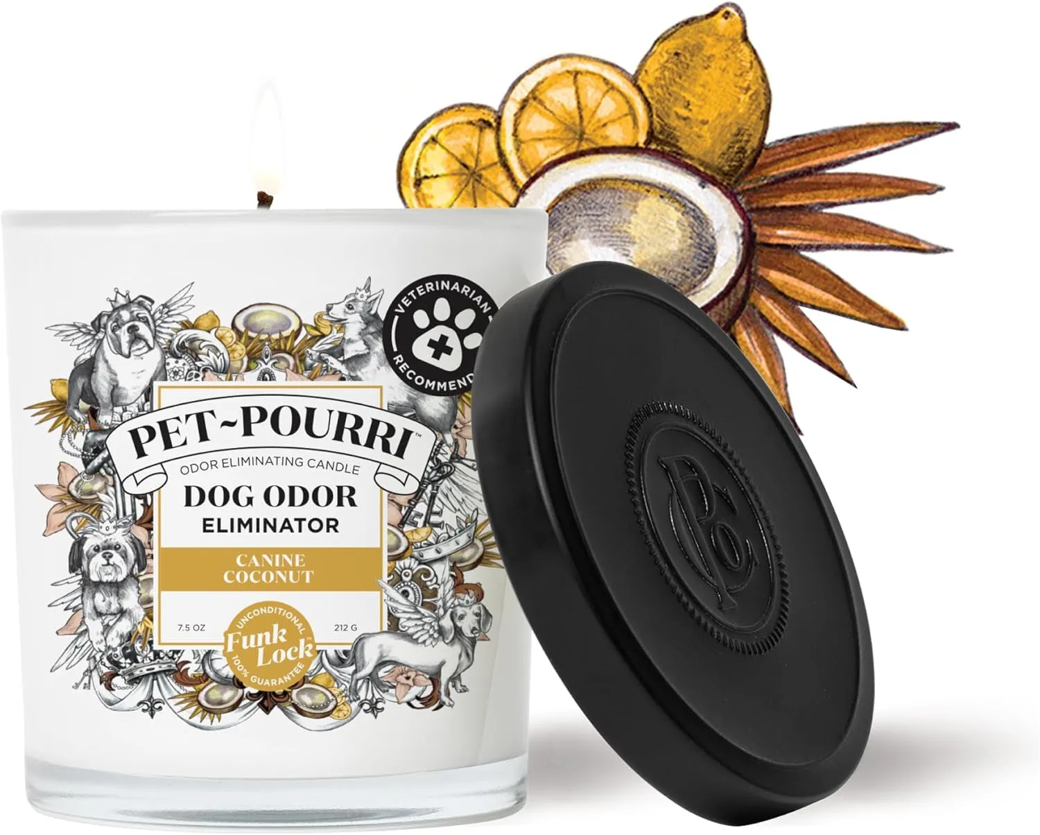 Pet-Pourri Pet Odor Freshener Candle, Canine Coconut, 7.5 Oz - Coconut (Veterinarian Recommended)