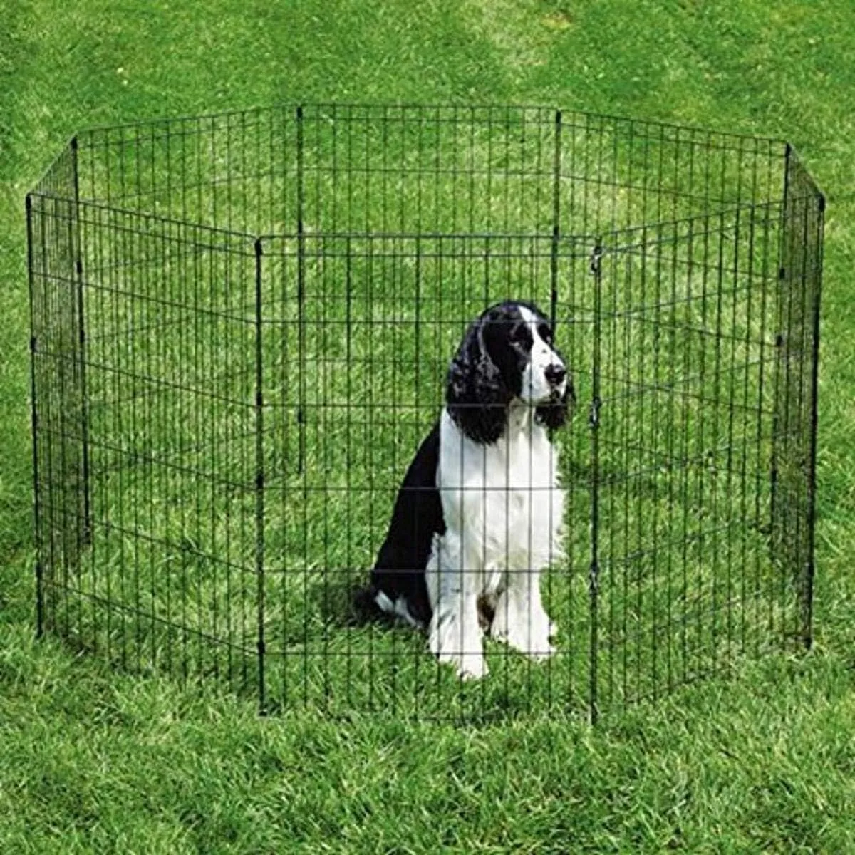 Pro Select Sure Ex Pen Pet Exercise Pen, Black 18In