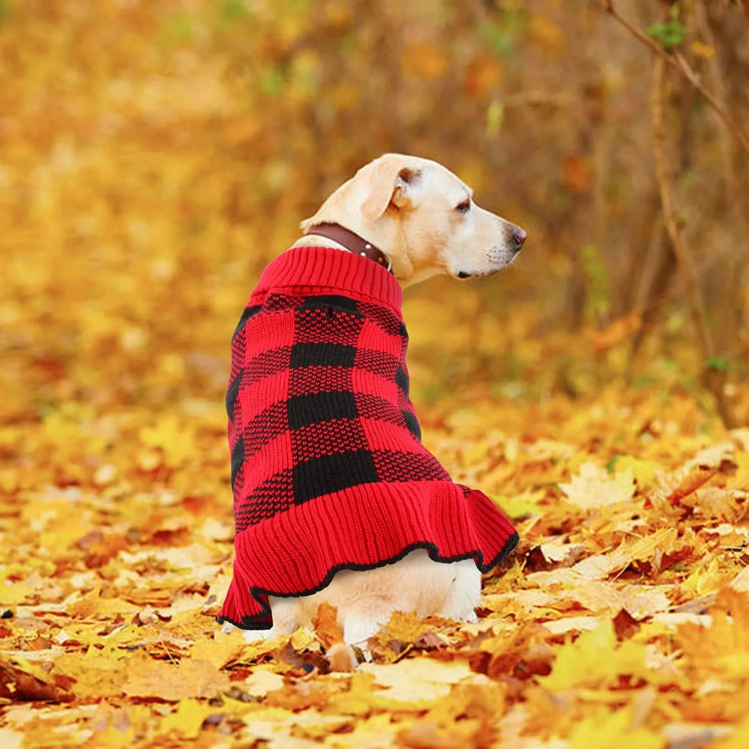 QBLEEV Small Dog Sweater Dress, Puppy Sweaters Knitwear Pullover Pet Sweaters with Leash Hole Warm Winter Dog Christmas Sweaters Fall Dog Sweaters Apparel Turtleneck Dog Sweaters for Dogs Girls Boys S